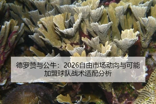 de-luo-zan-yu-gong-niu-zi-you-shi-chang-dong-xiang-yu-ke-neng-jia-meng-qiu-dui-zhan-shu-shi-pei-fen-xi-2-113.jpg